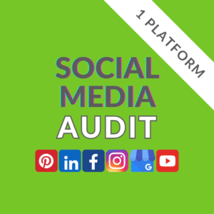 Social Media Audit - 1 platform